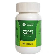 Шиладжит Мумие-100% Пунарвасу 60 капс (адаптоген,биостимулятор) Punarvasu Shilajit Capsule - купить в интернет-магазине